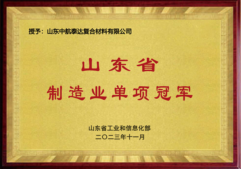 單項(xiàng)冠軍